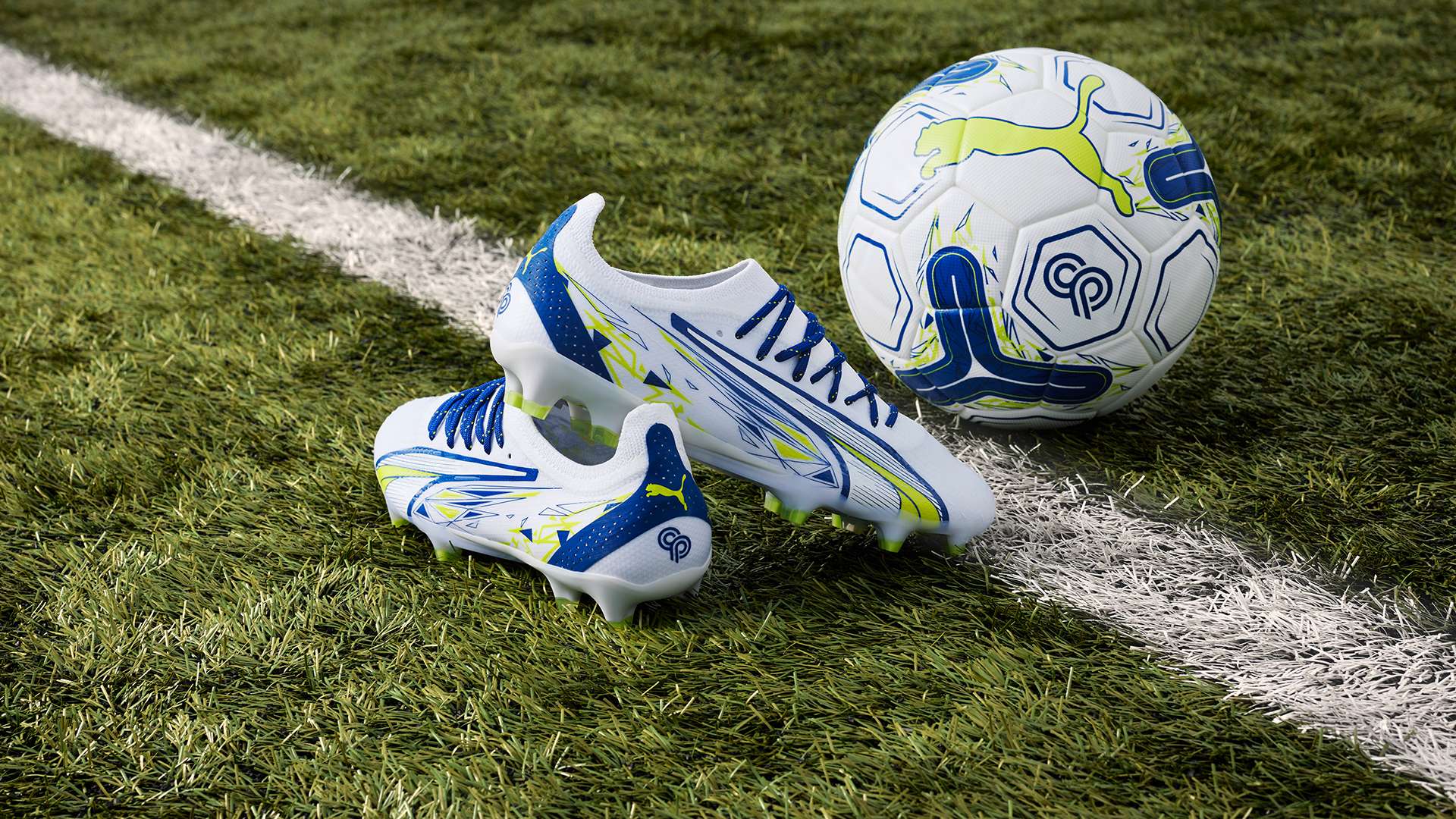 尽管他们在 尽管他们在