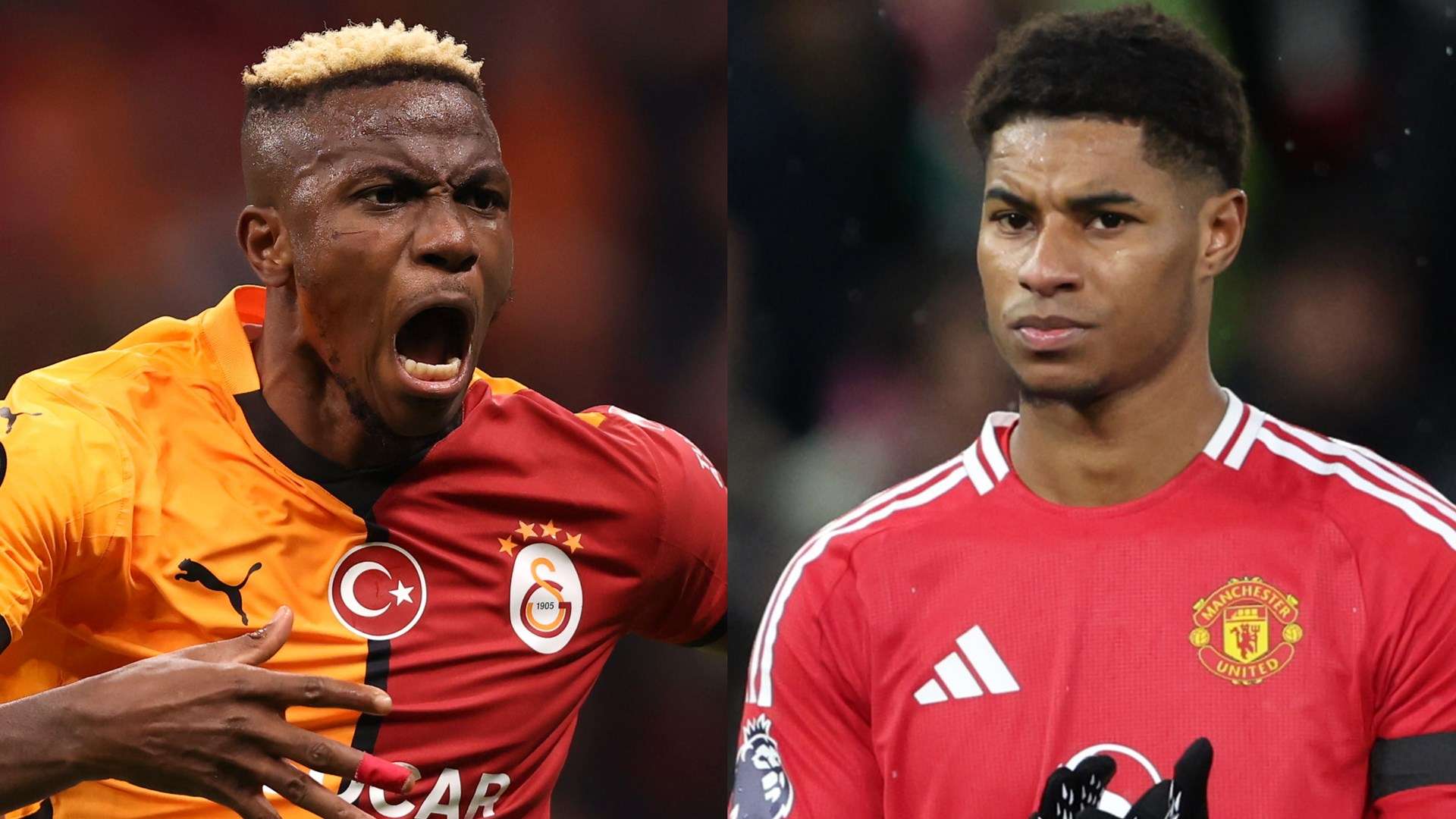 他们在快速 他们在快速