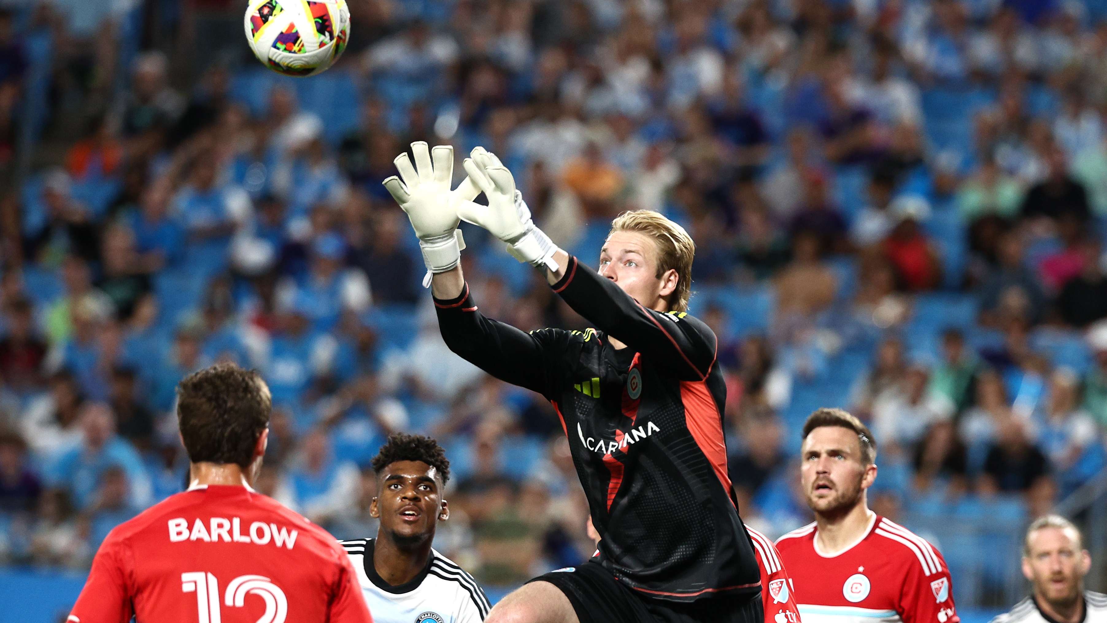 队带来了至 队带来了至